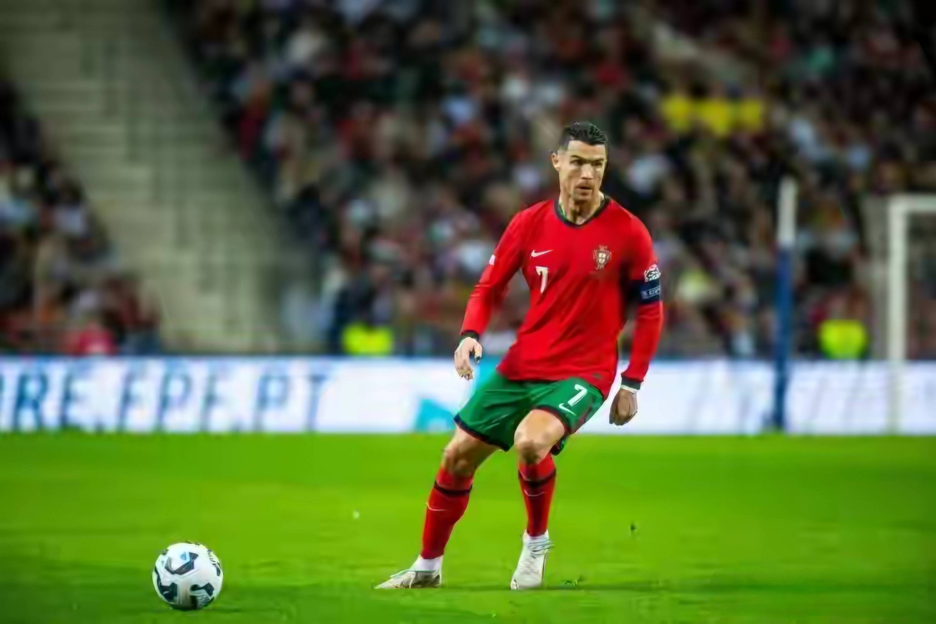 包含葡萄牙队表现出色，前途无量的词条