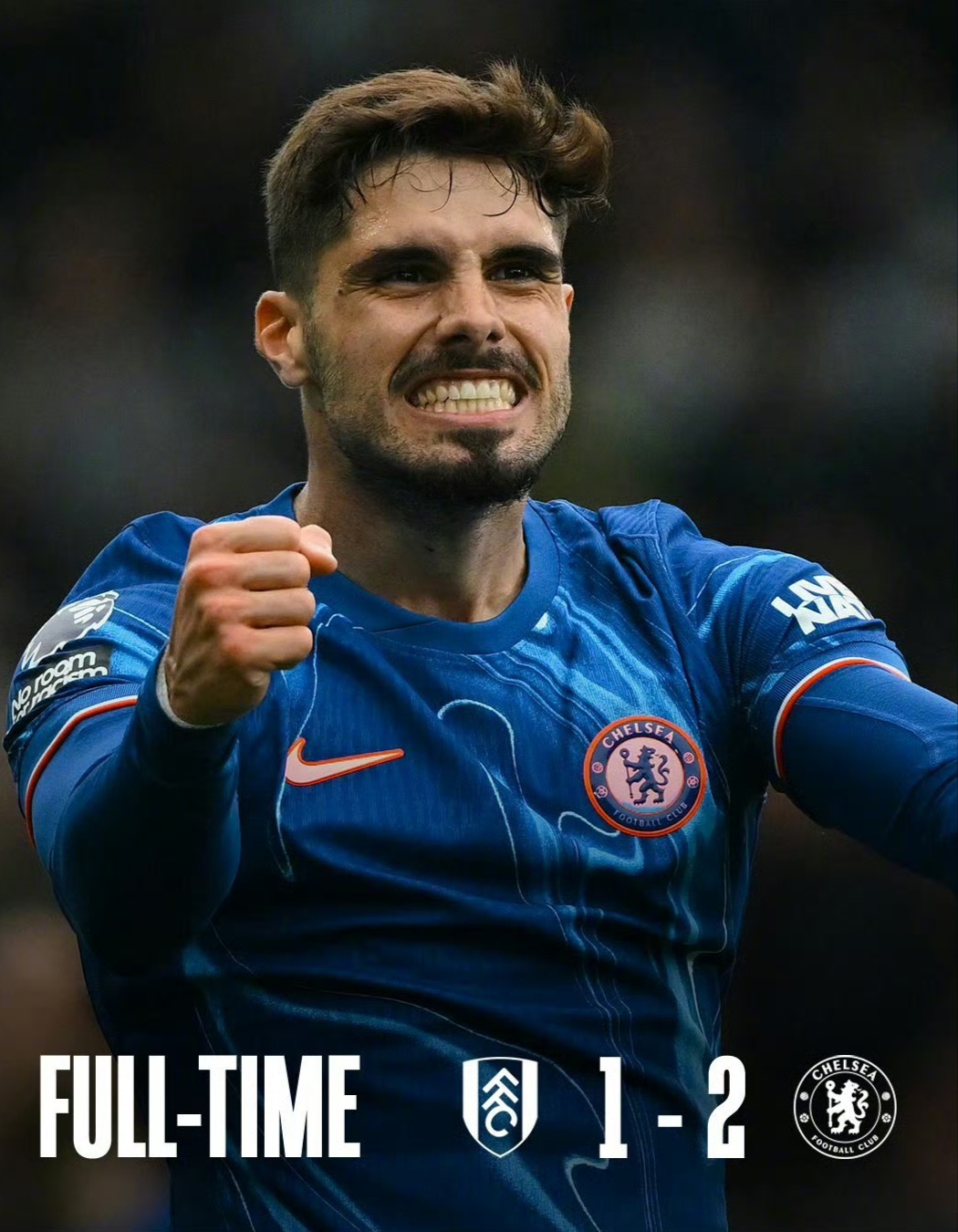 包含南安普顿客场逆转切尔西，主帅赞队员的词条