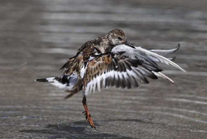 瞬间决定胜负,全世界目瞪口呆 瞬间决定胜负,全世界目瞪口呆