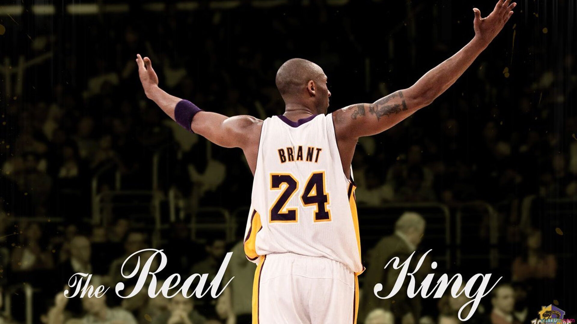 年度焦点之战之夜，格纳布里压制级发挥如何改写战局？